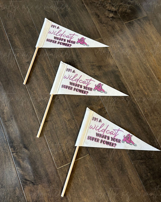 Wildcat Pennant Flags