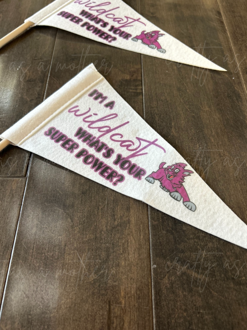 Wildcat Pennant Flags