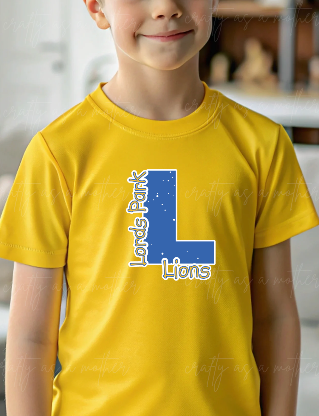 Lords Park Lions Distressed - Youth