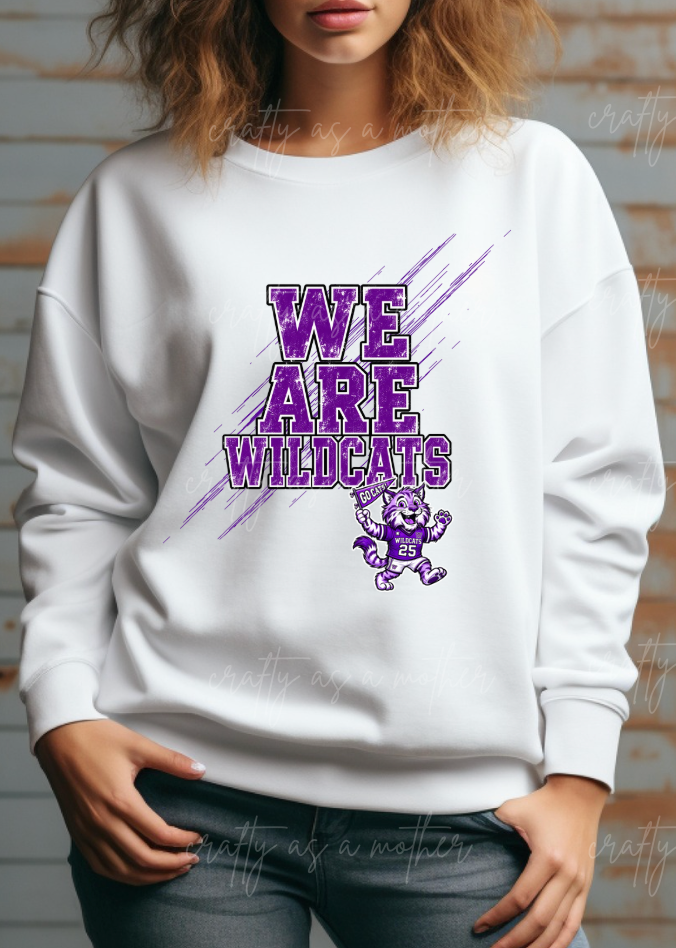 Whittier School Varsity Vibes - Adult